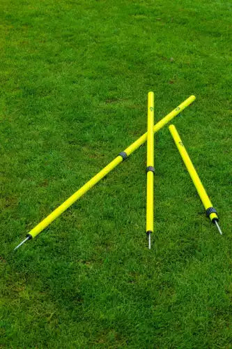 Set van 6 telescopische slalompalen met punt - 91cm tot 172cm