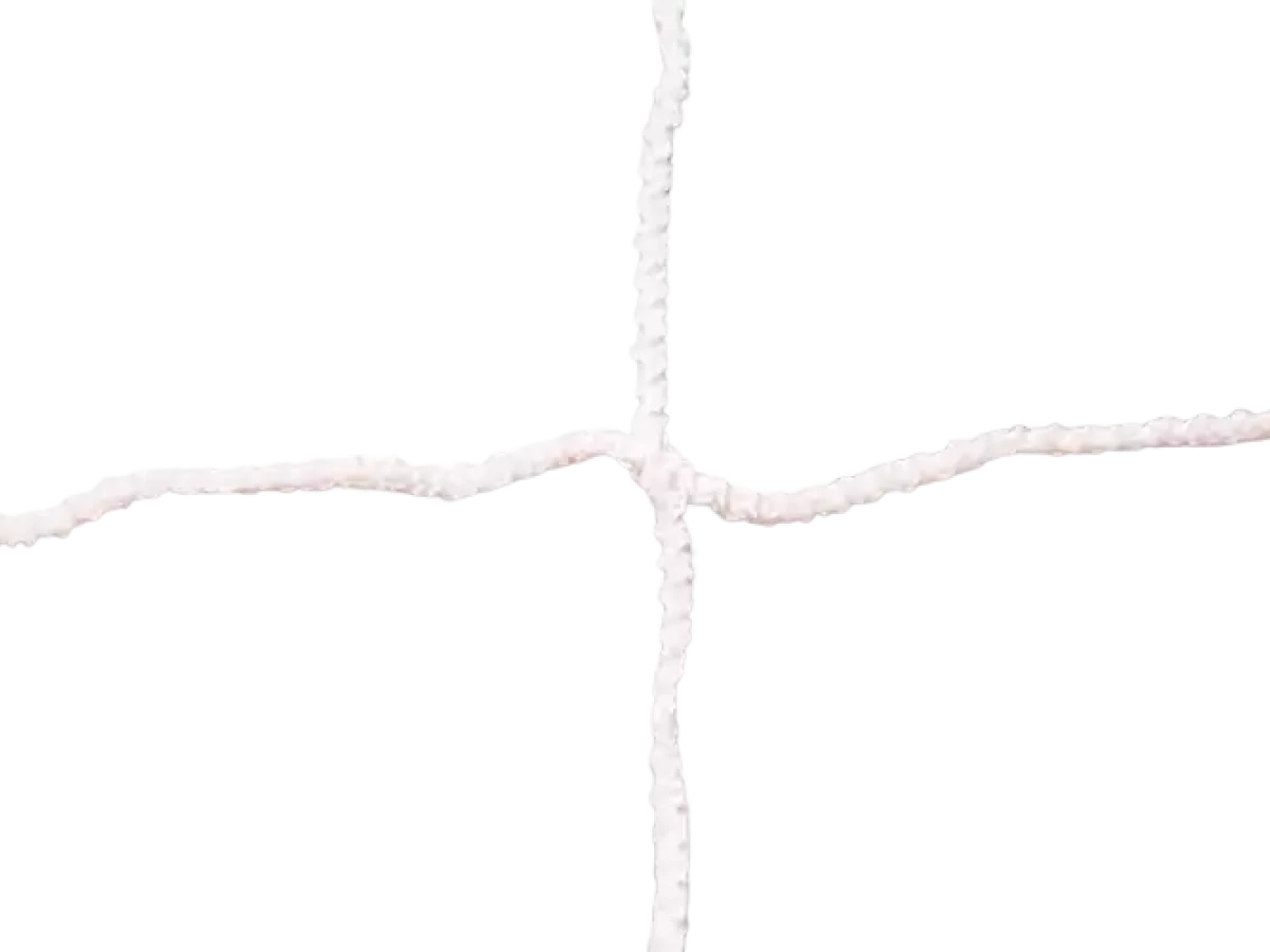 Tornetz - 4 x 2m