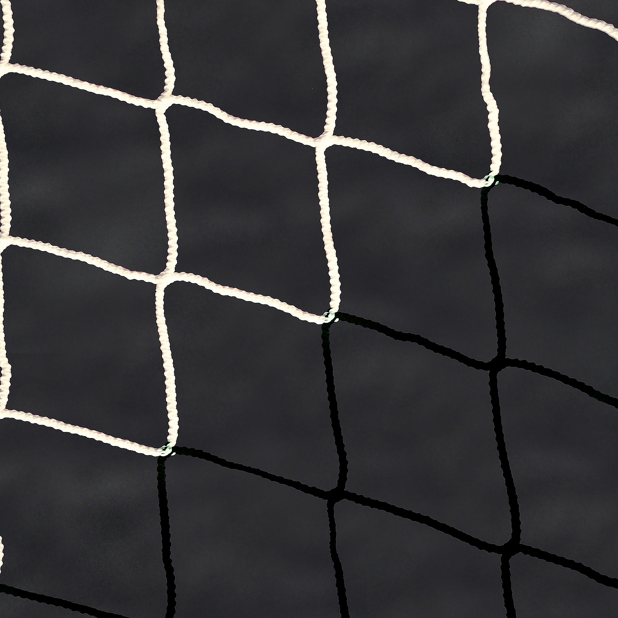 Fußballnetz Club 7.32 x 2.44m