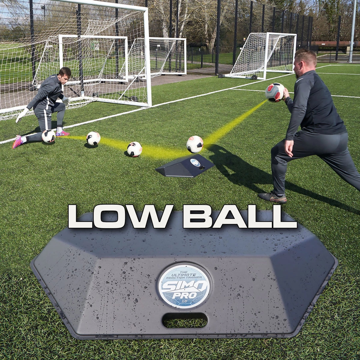 Professional goalkeeper training SIMO