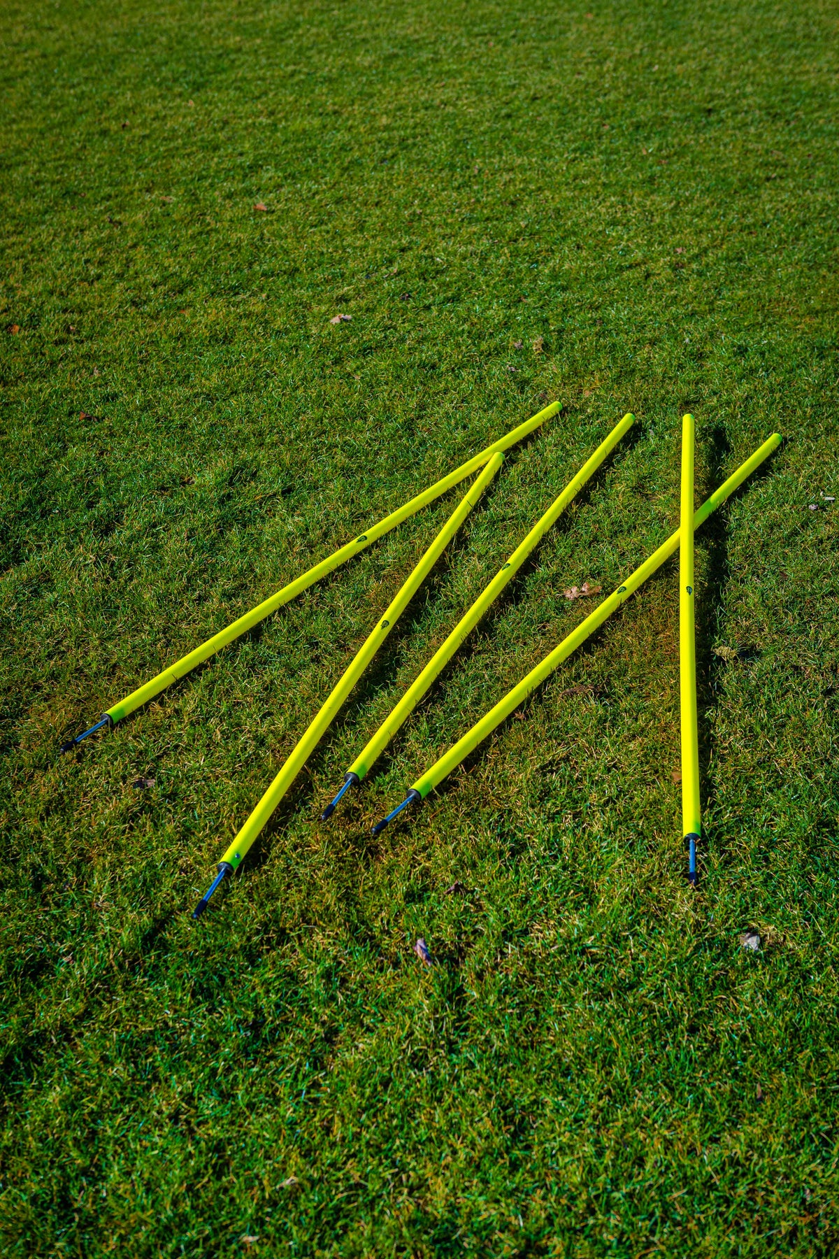 Set van 5 slalompalen met punt