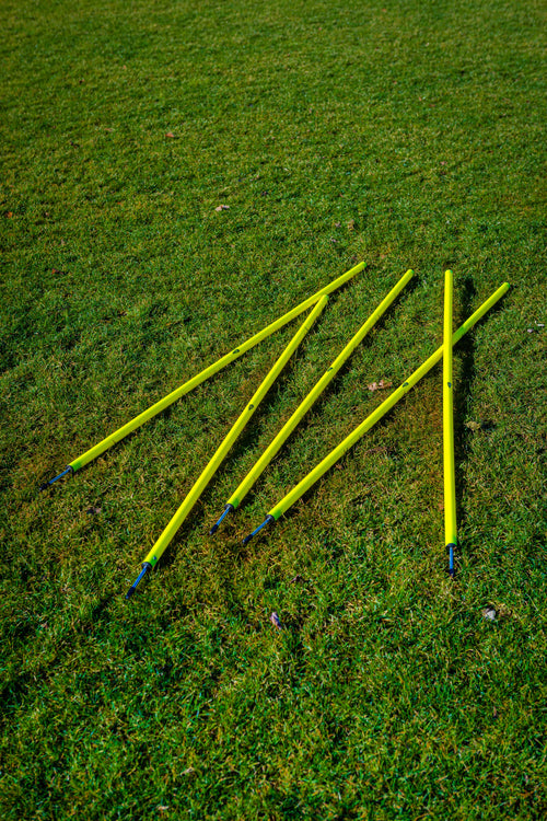 Set van 5 slalompalen met punt