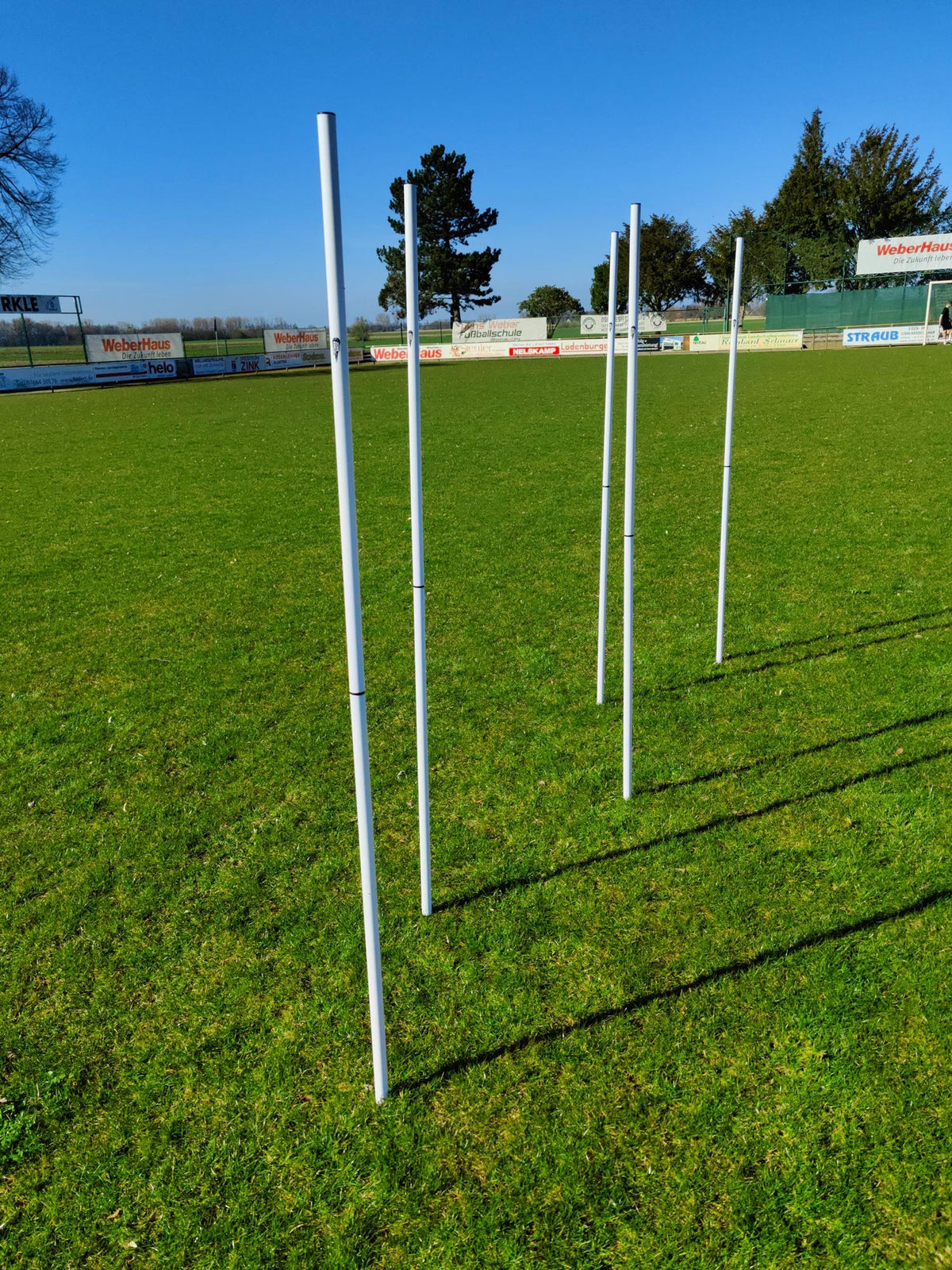 Set van 5 slalompalen met punt
