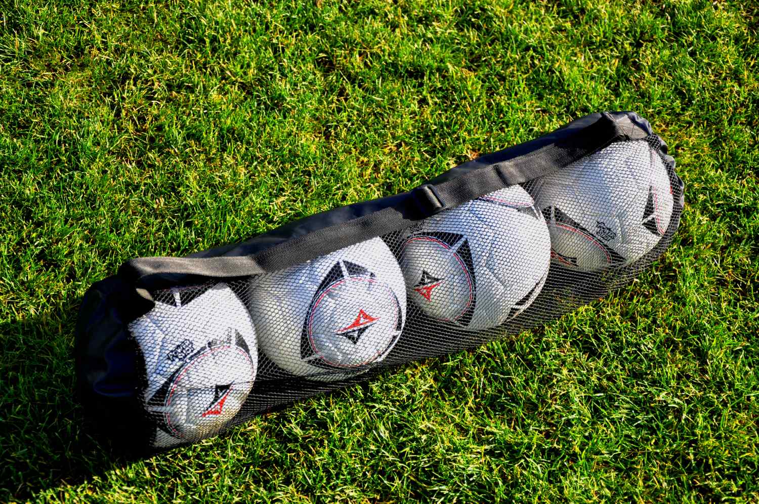 Balltasche - Bietet Platz für bis zu 4 Bälle