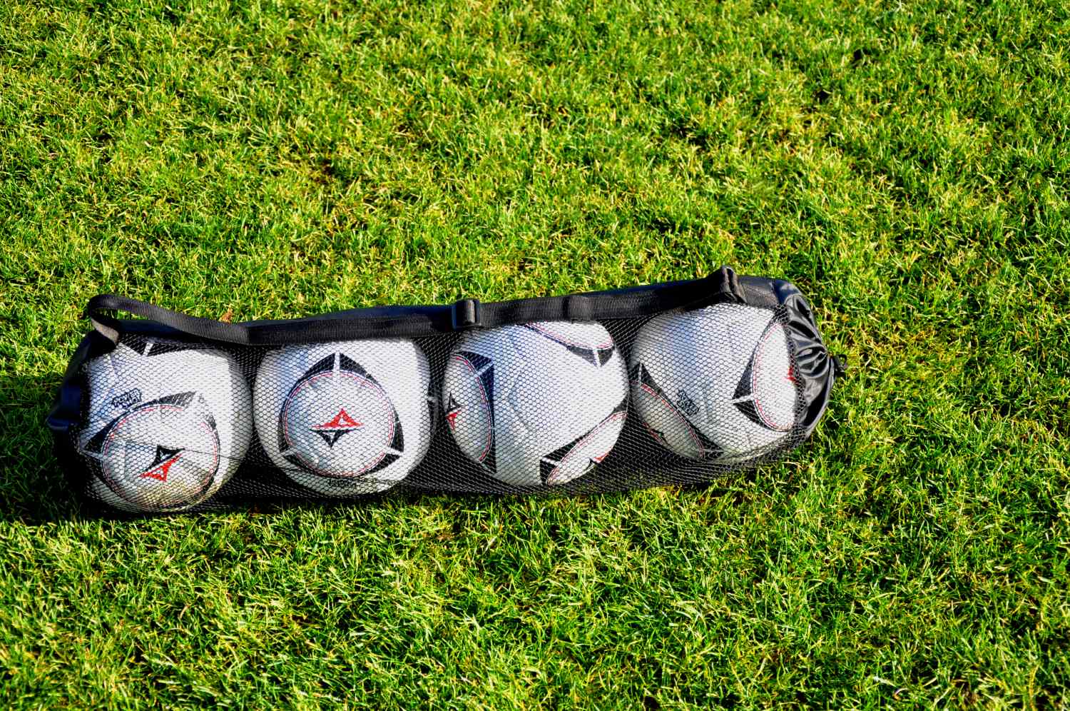 Balltasche - Bietet Platz für bis zu 4 Bälle
