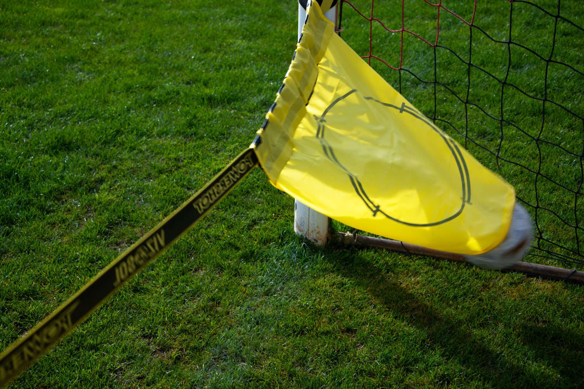 Image du produit : Vizosol - Boden Zielscheiben für Fußballtor