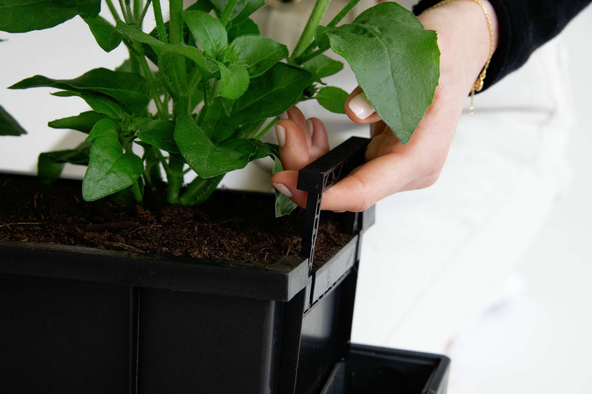 Image du produit : Selbstbewässernder Pflanzentopf SUPREME - 75cm