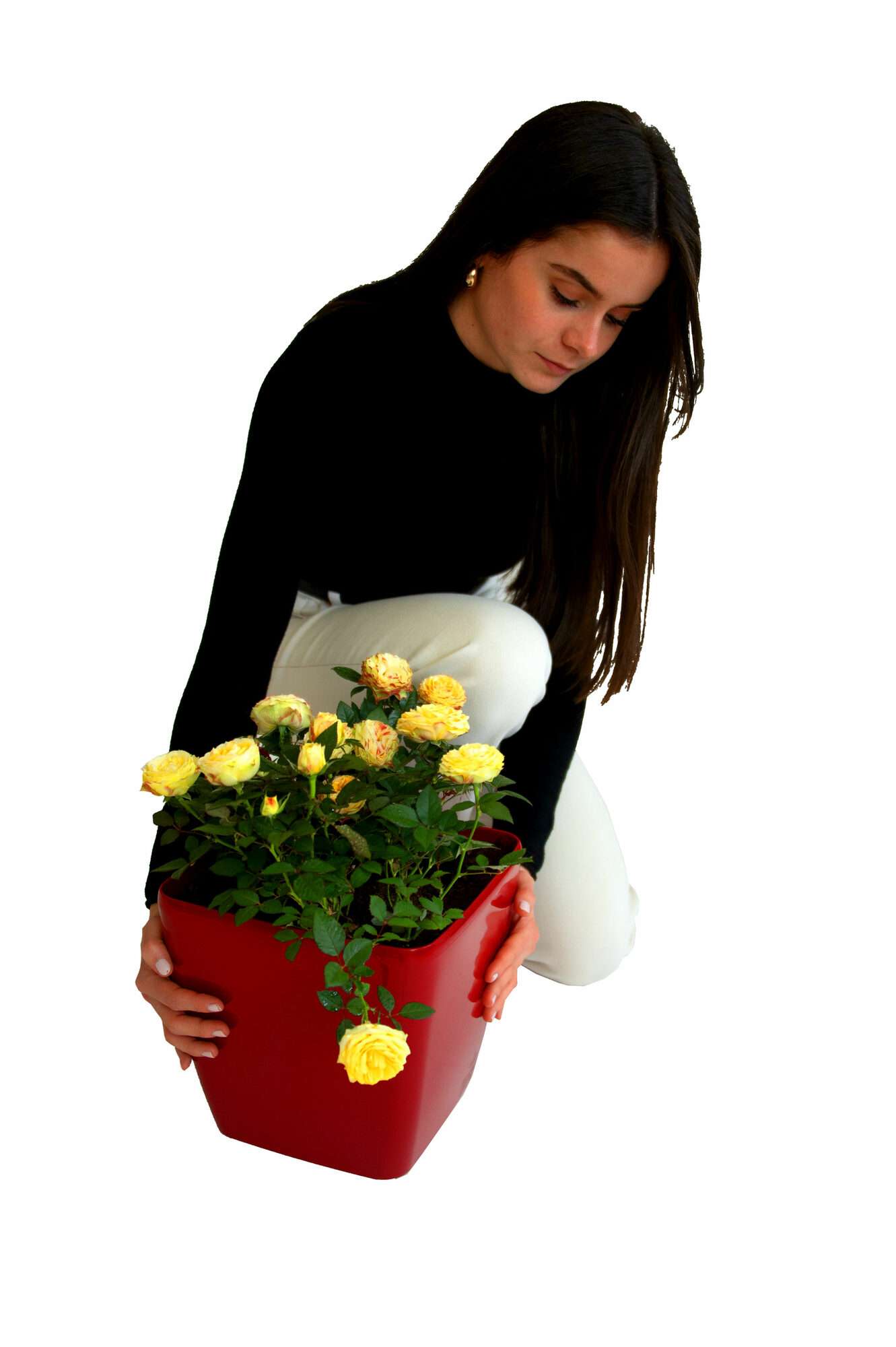 Image du produit : Selbstbewässernder Pflanzentopf QUADRATO - 24cm x 24cm x 25cm