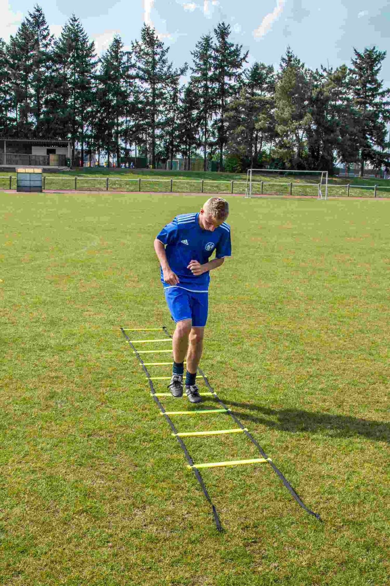 Image du produit : Agilitätsskala - Größe nach Wahl