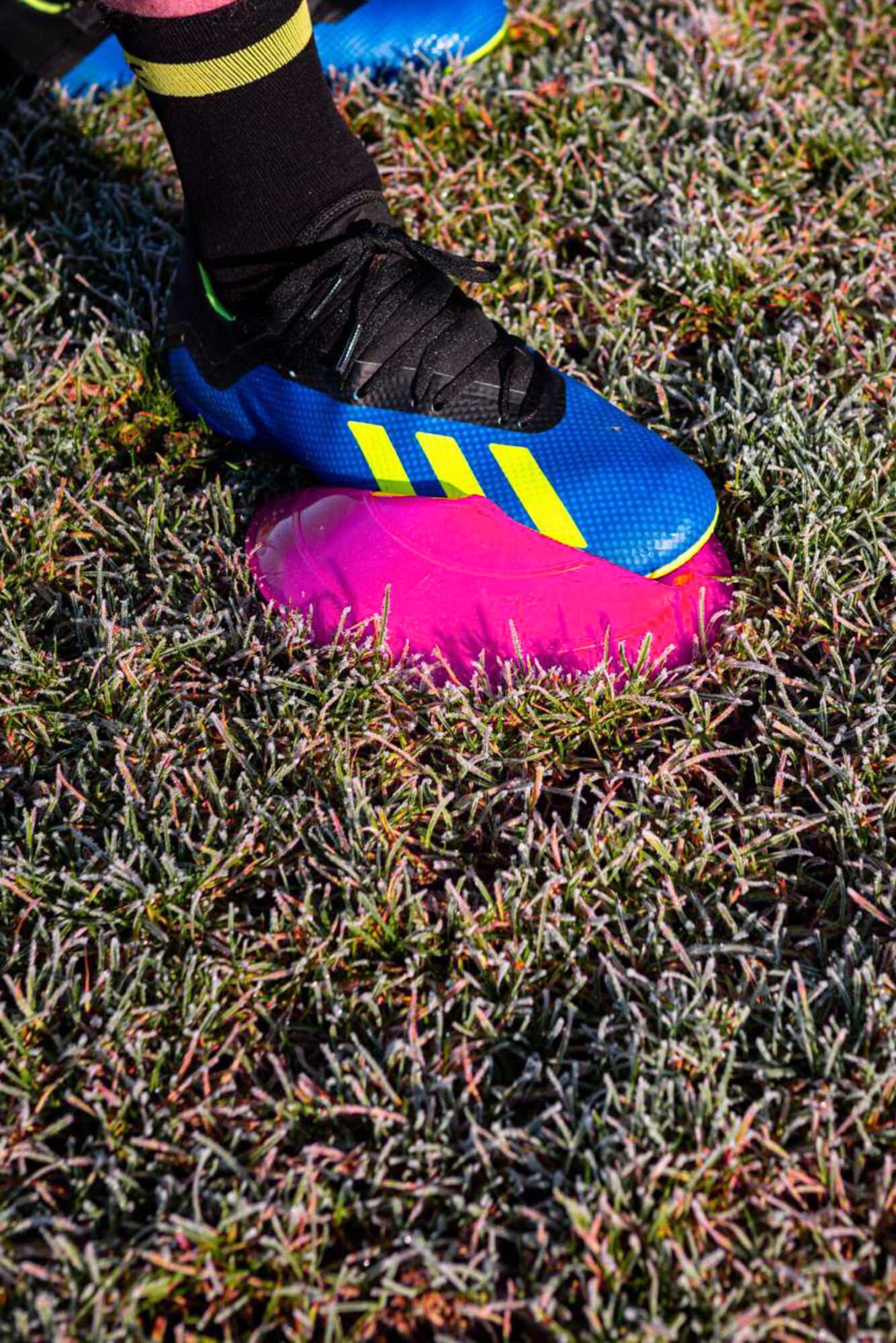 Image du produit : Markierungshütchen flexibel - 20 cm ∅ - 50er Set