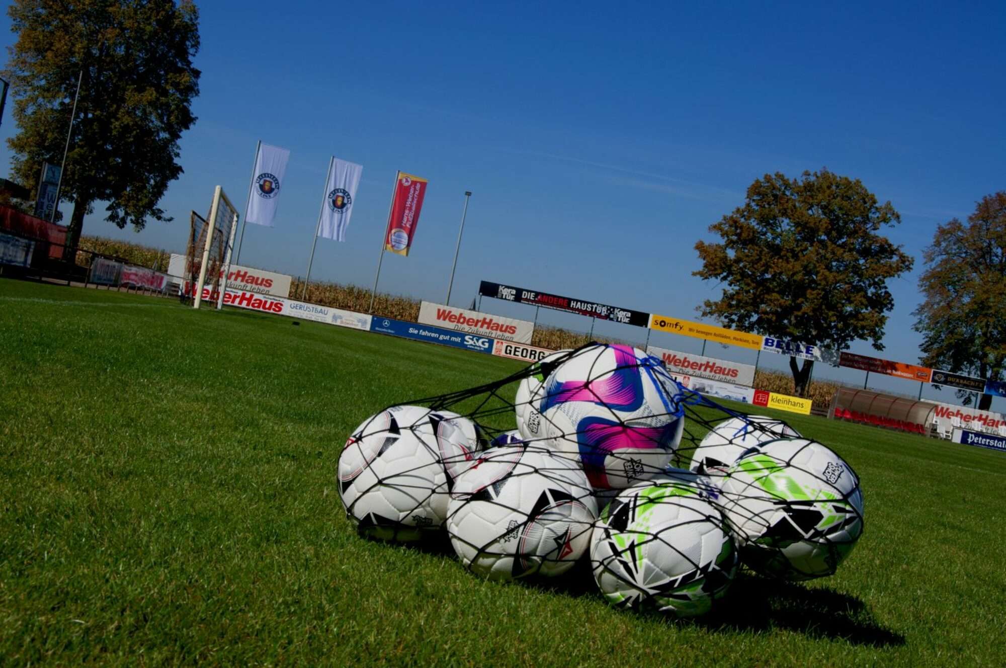 Image du produit : POWERSHOT® Ballnetz für Sportbälle