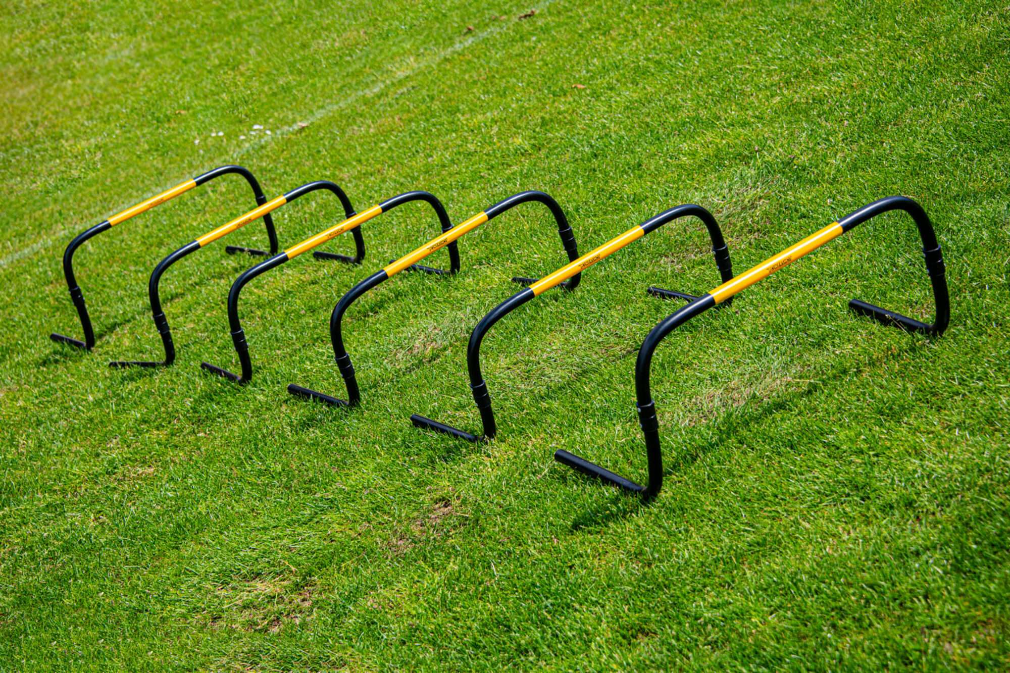 Image du produit : Hecken 'Self Return' - 25cm - 6er-Set