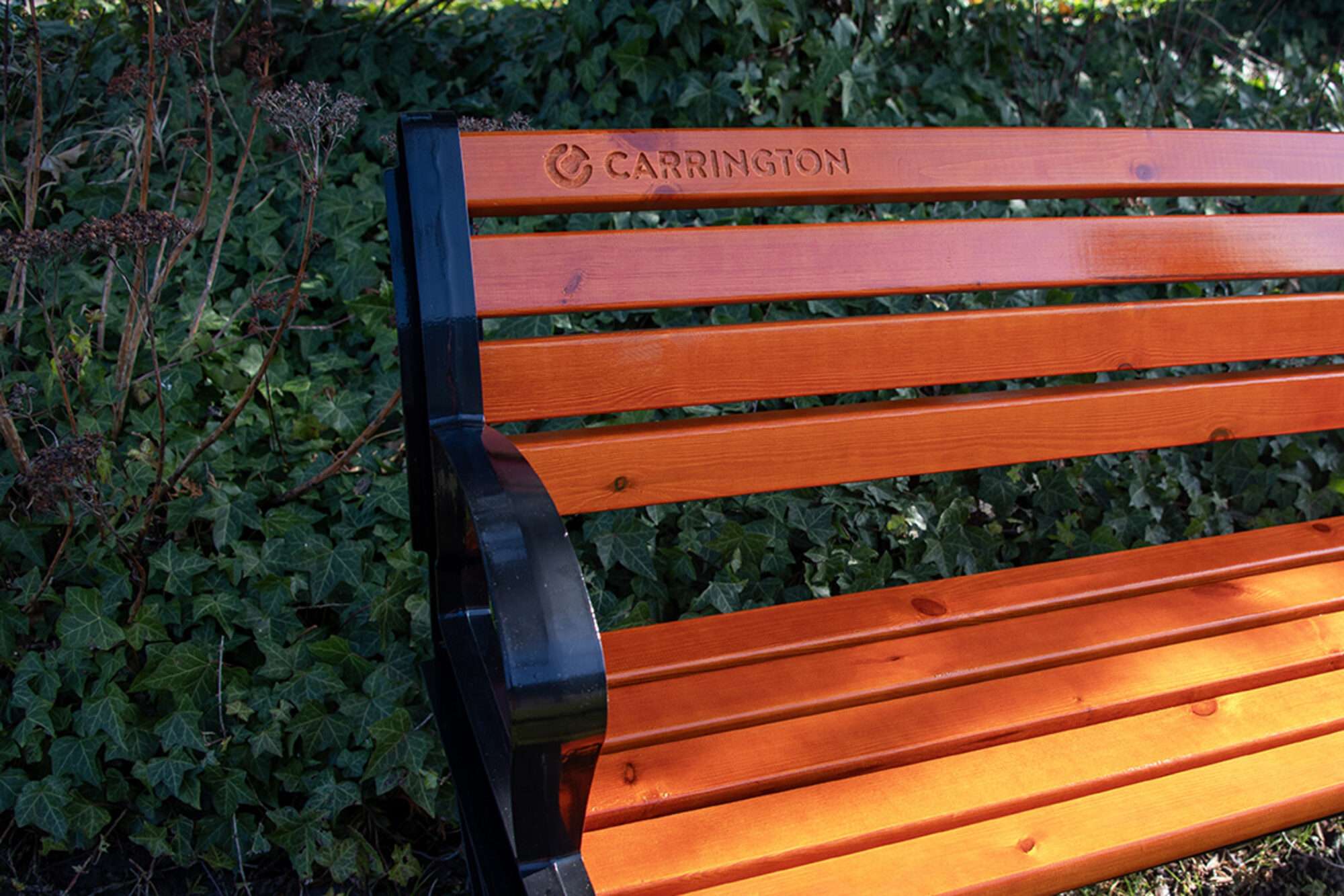 Image du produit : Tennisbank mit Rückenlehne - 180cm