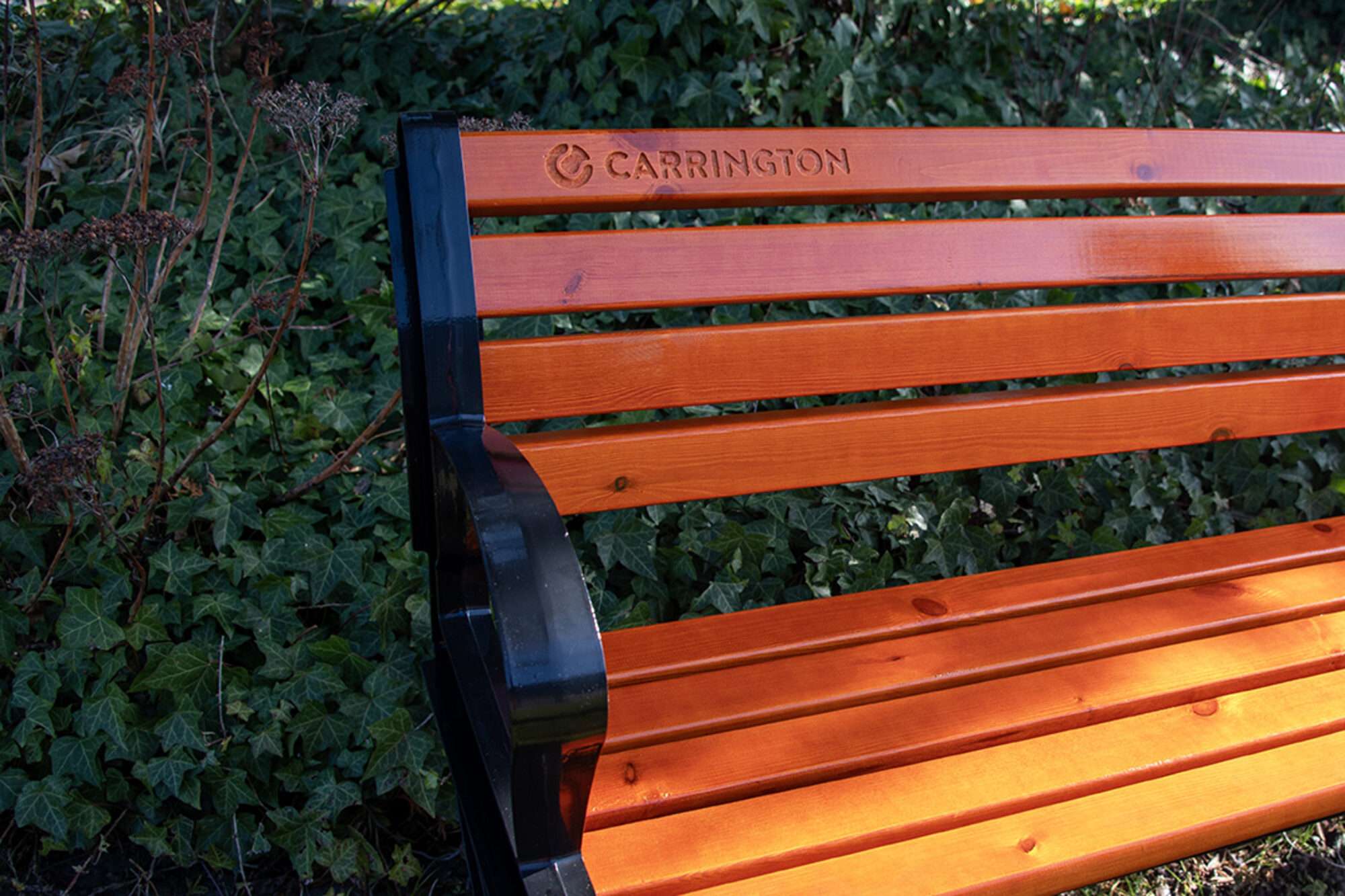 Image du produit : Tennisbank mit Rückenlehne - 150cm