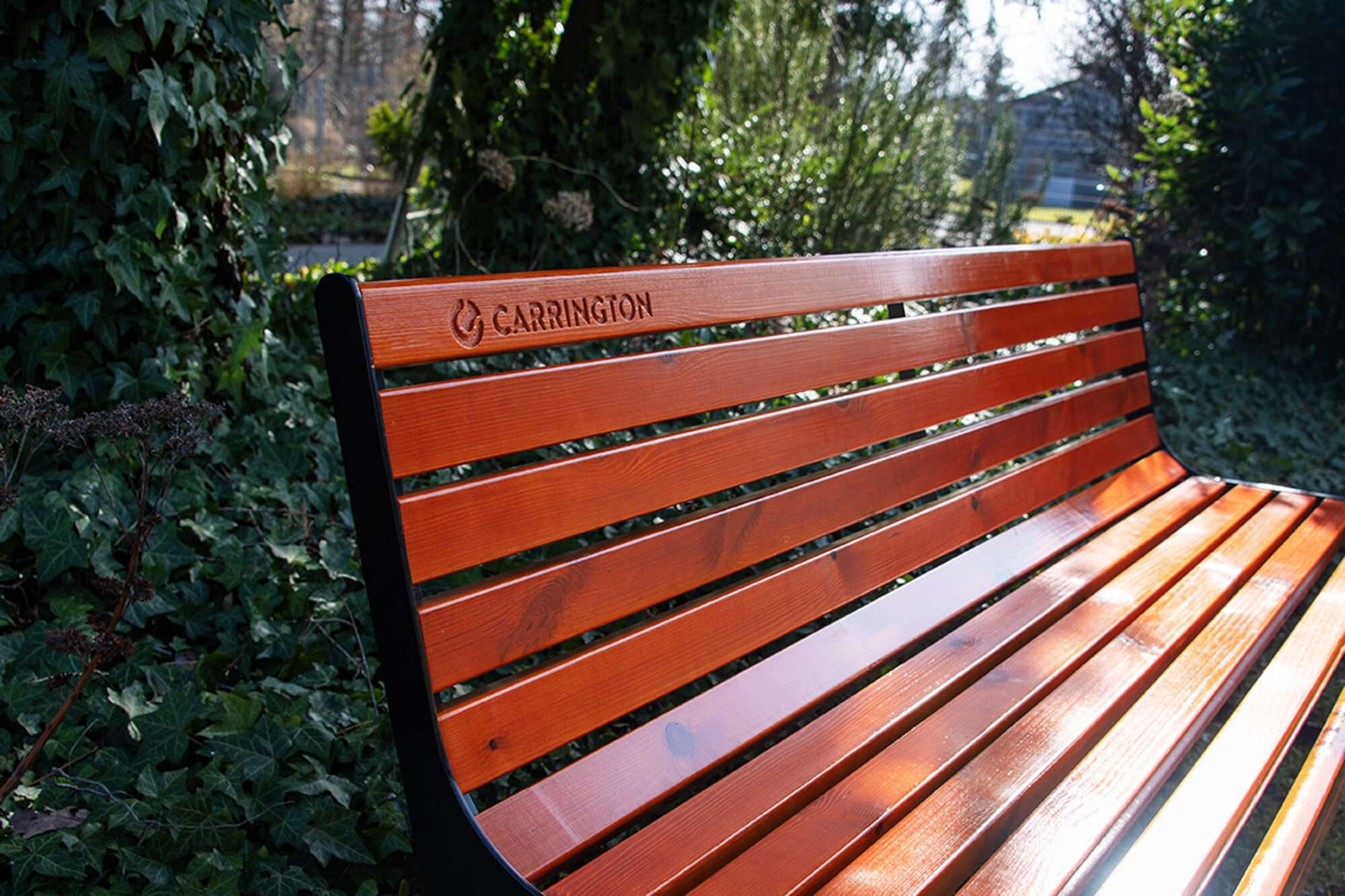 Image du produit : Premium-Tennisbank aus Holz mit Rückenlehne - 180 cm